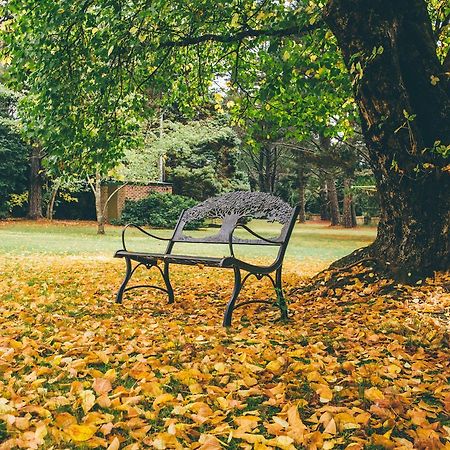 Вілла Federation Gardens & Possums Hideaway Блекгіт Екстер'єр фото